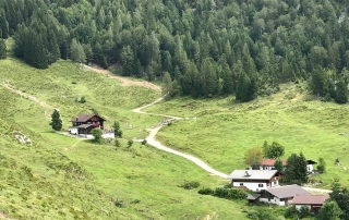 Wanderungen Walleralm by Ferienwohnung Söll . Appartement Wilder Kaiser